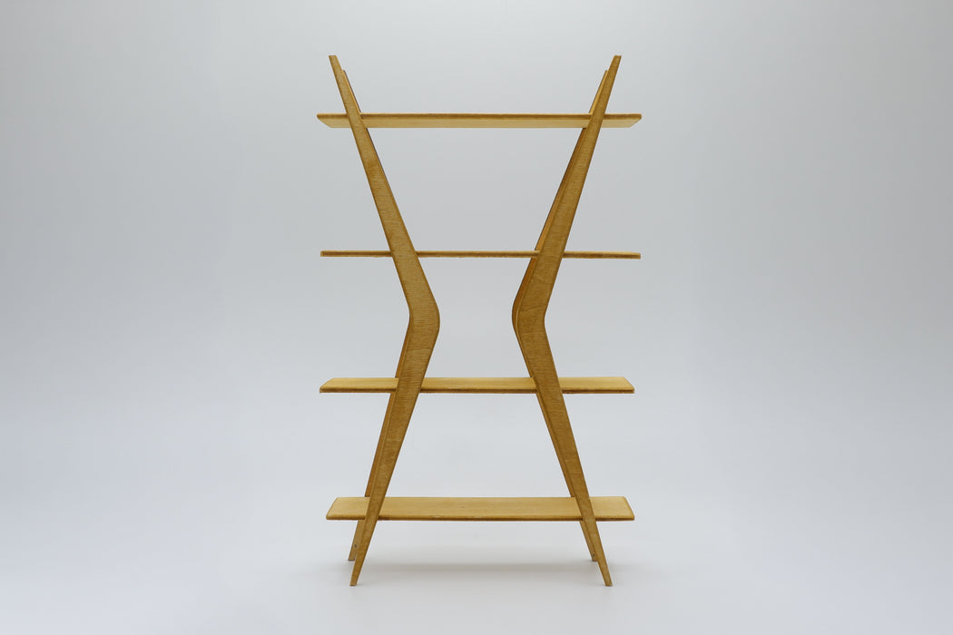 Mid-Century Modern Bookshelf Kit